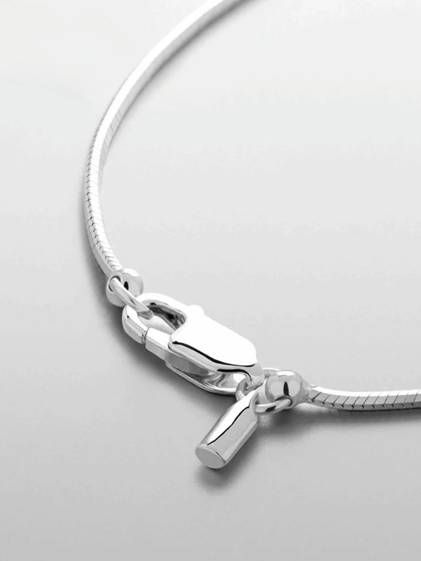 Sleek Snake Chain Necklace