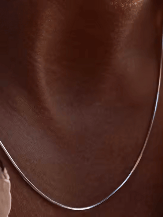 Sleek Snake Chain Necklace