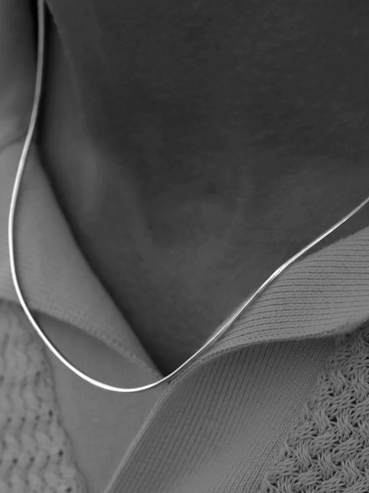 Sleek Snake Chain Necklace
