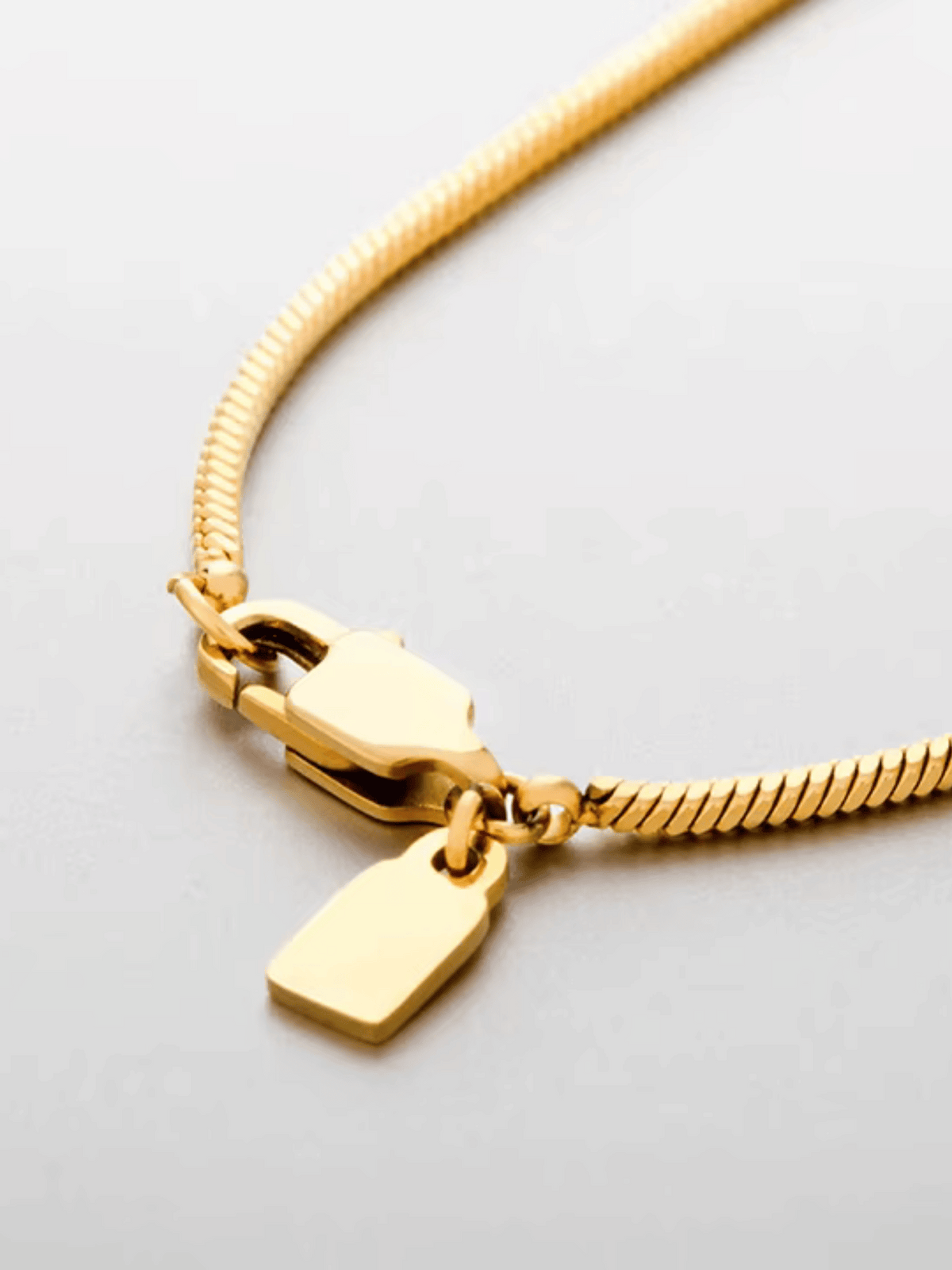 Round Snake Chain Necklace