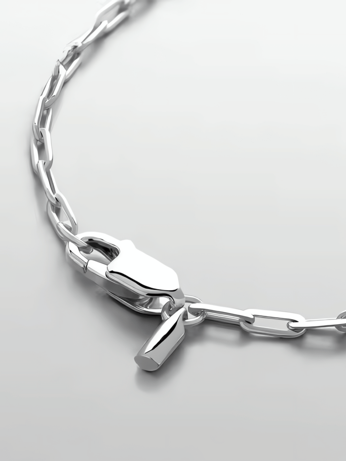 Clip Chain Necklace
