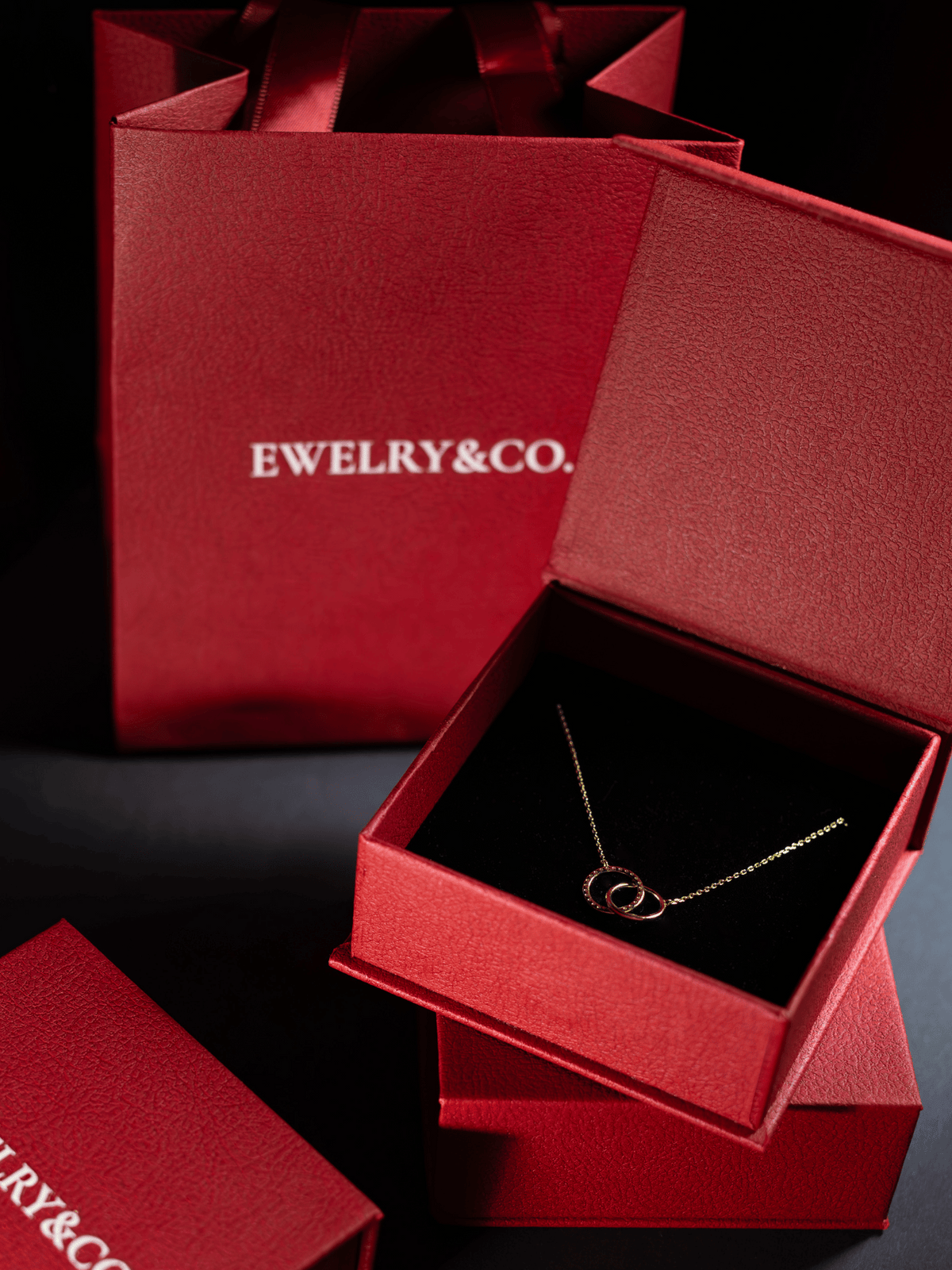 Double Circle Necklace